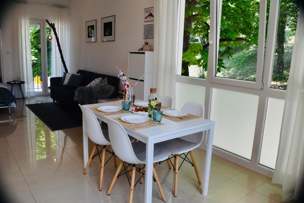 Studio Apartment Stazion With Free Parking Pazin Extérieur photo